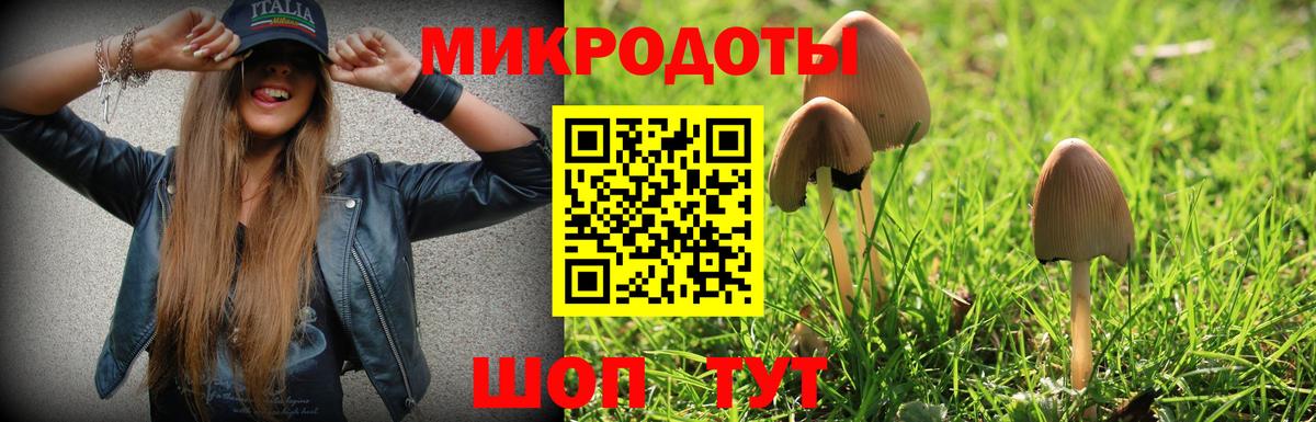 Нововоронеж  где можно купить   Вход с VPN  Псилоцибиновые грибы Cubensis 