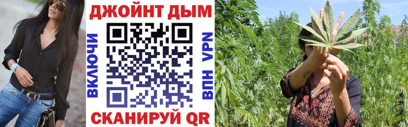 Шишки марихуана сатива Нововоронеж