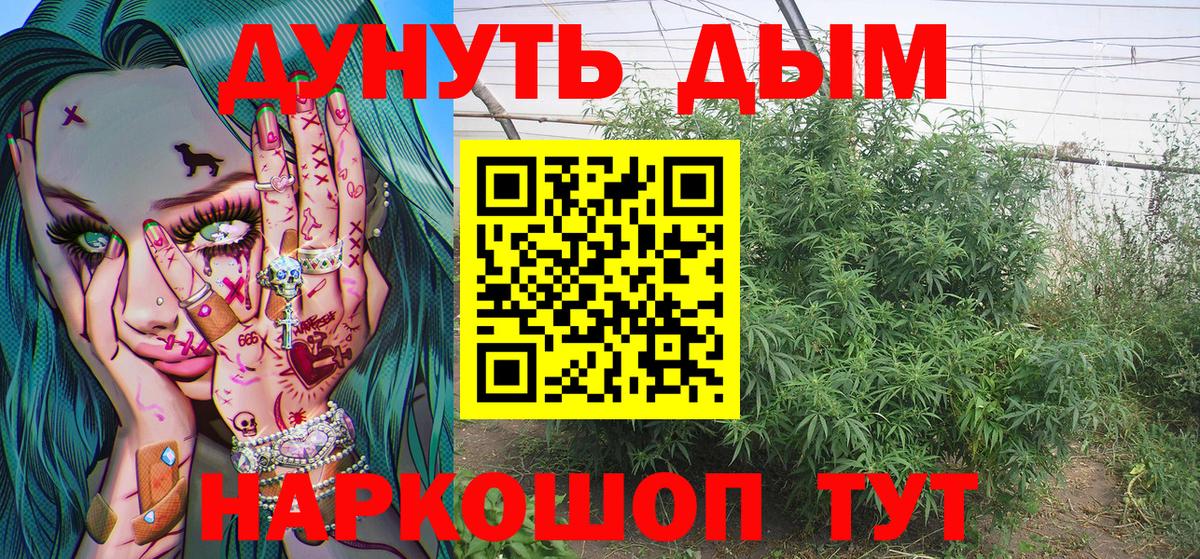 Конопля гибрид Нововоронеж